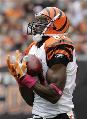 Bengals wide receiver Terrell Owens makes a catch on a 78-yard touchdown pass play in the second quarter. He caught 10 passes for 222 yards but it wasn't enough for the Bengals, who fell to 2-2.