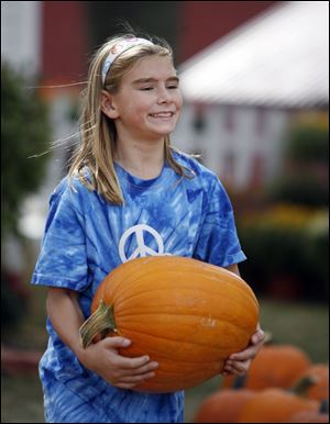 Abbey Glancey lugs the pumpkin she has determined the perfect choice for Halloween.