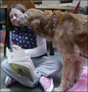 NBRN paws13p  The Blade/Lori King  10/06/2010  Temperance, Mich. Isabella Becker, 8, is licked by Porsche while reading to her at the Bedford Branch Library in Temperance, Mich.