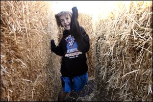 Slug: ROV haymaze                             10/18/2010 The Blade/Amy E. Voigt                      Toledo, Ohio  CAPTION:  Brandon Clark, 11, from Sylvania, reacts to running into a hay wall while  navigating his way through a hay maze at The Pumpkin Patch on Monroe St. on October 18, 2010.  The maze, which boasts 1,000 bales of hay is free to the public. 