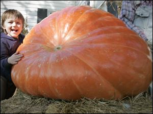 Kyle Rhuland, 4, is dwarfed by an enormous pumpkin at Fleitz Pumpkin Farm in Oregon, Ohio.