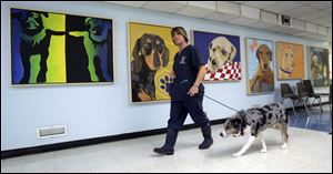 Khris Greer, an employee of the Lucas County Dog Warden's Office, walks by a new mural.