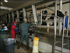A Vreba-Hoff milking parlor, in a 2004 photo, was large and modern and owners had big plans. But the latest milk price crash hit many of the nation's biggest, newest farms the hardest.