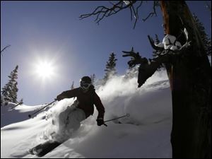 A skier enjoys the powder on Oly Bowl in Aspen Highlands.