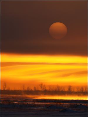 Maggi Dandar's photo 'Sunrise' is one of nearly 100 nature images that are on view at the University of Toledo, 6200 Bayshore Rd. in Oregon.