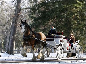 Slug: CTY sleigh29p 03  The Blade/Jeremy Wadsworth  Caption:  Tim Meyers of South Creek Clydesdales gives sleigh rides Wednesday, 12/29/10, at Spiegel Grove in Fremont, Ohio.