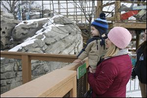 Cindy Ernsthausen and her son, Vaughn, look at animals in Nature's Neighborhood at the Toledo Zoo.