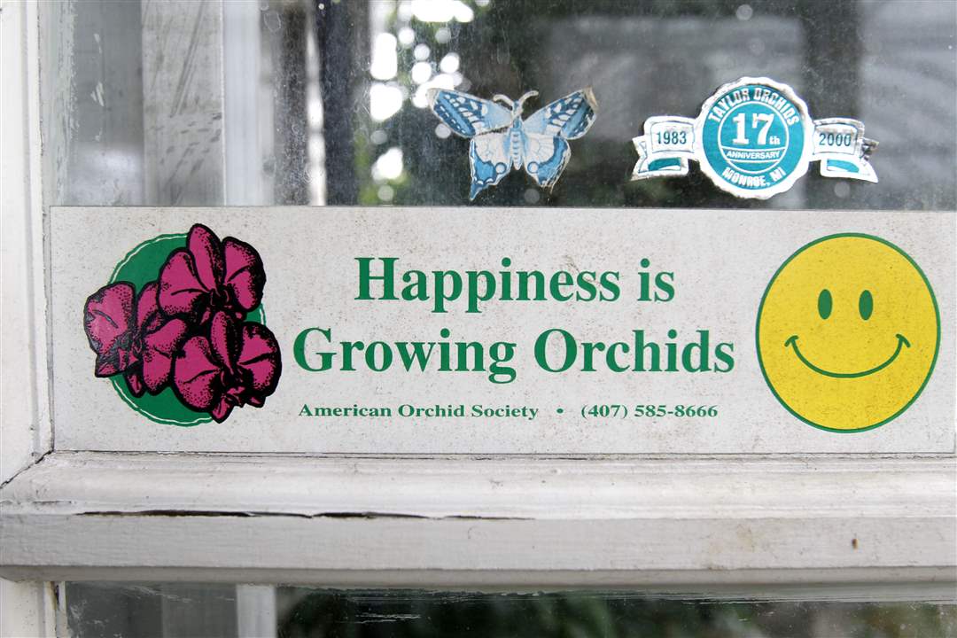 Happiness-Is-Growing-Orchids