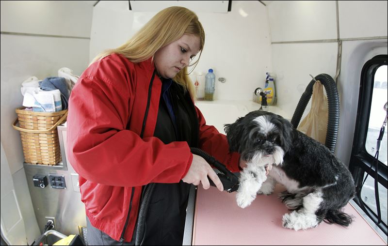 Rachel Welch grooms a canine customer in the van operated by Randy LaFond's