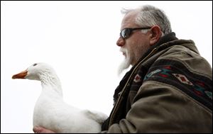 Peter Hatas, who rescued a goose in January, 2009, is a homeless engineer who wants to turn the St. James Hotel into low-income apartments for veterans. He has received support from key officials.