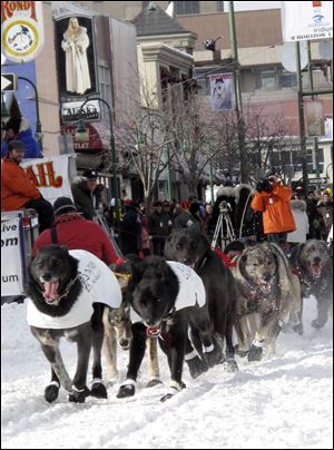 Veteran musher John Baker dashes along 4th Avenue in Anchorage, Alaska,  on Saturday during  the traditional ceremonial start of the Iditarod race.
