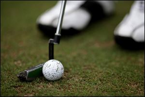 Toledo area courses have tried several strategies to attract business, including lower membership fees.