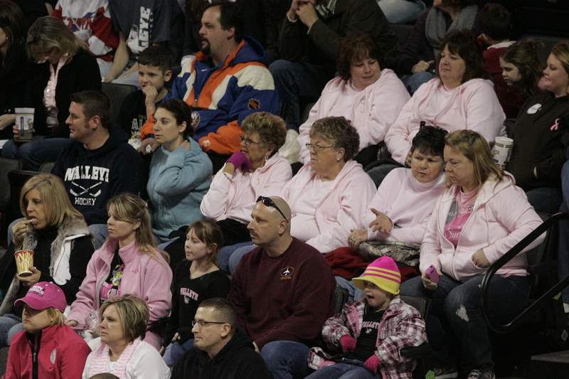 Pink-in-the-Rink-crowd