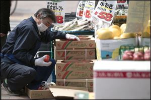 Japan announced the first signs that contamination from its tsunami-crippled nuclear complex have seeped into the food chain, saying that radiation levels in spinach harvested in Ibaraki Prefecture and milk from farms in Fukushima Prefecture near the facility exceeded government safety limits. 