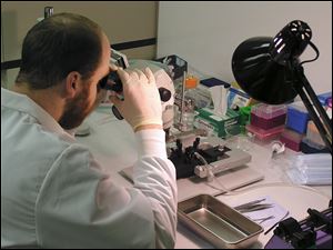 A technician works at Mithridion, a Wisconsin company that develops treatments for Alzheimer's disease and other nervous system conditions. In 2008, it purchased a company founded by UT professors. 