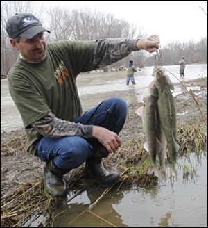 Rick Serres of Holland shows off his walleye caught Monday in the Maumee River. The good fishing is expected to continue as long as there is no dramatic change in the weather. Tuesday is expected to be in the 50s and sunny.