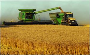 Growers, farm-equipment makers, and seed producers are expected to reap record profits with the rise in wheat prices and U.S. exports.