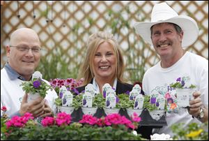 Joe Perlaky, left, of Maumee Valley Growers, Kelly Kinney, whose brother died of pancreatic cancer, and Tom Wardell, of Wardell's Garden Center in Waterville Township, show denim shock wave petunias.