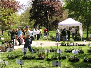 The Toledo Botanical Garden's annual plant sale runs Friday through Sunday.
