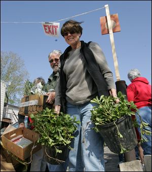 Denny and Connie Dreher find a few perennials at The Plant Exchange.