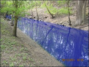 Blue dye from Pro Pac Industries in Maumee flows through Swan Creek through in Swan Creek Metropark.
