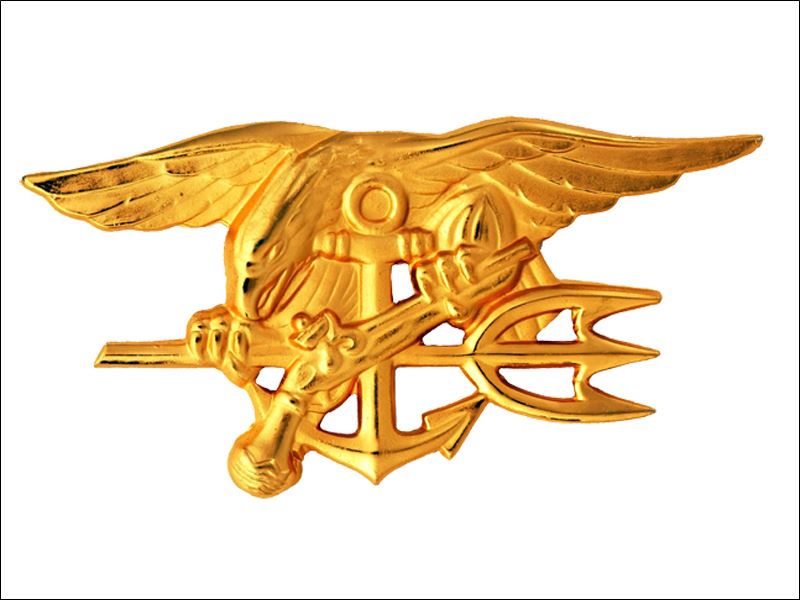 The Navy SEALs 2 views from the inside Toledo Blade