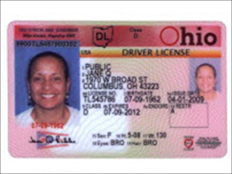 Fake Drivers License Template Psd