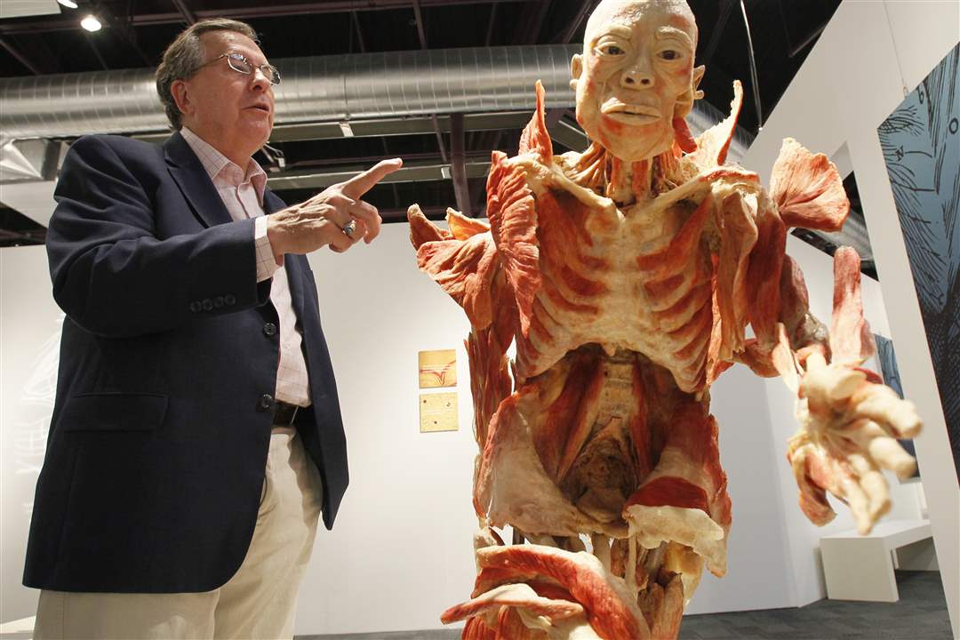 Bodies-Revealed-Exhibit-Dr-Roy-Glover-and-muscle-layering