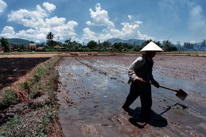 A-farmer-works-his-rice-field-during-the-intense-heat-and-sun-of-an-afternoon-in-the-Song-Ve-Valley-Quang-Ngai-Province-Vietnam