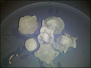 A few of the golf ball-size hail balls that bombarded Clyde, Ohio, this week.