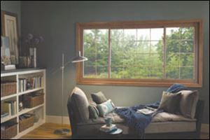 Energy Efficient Windows