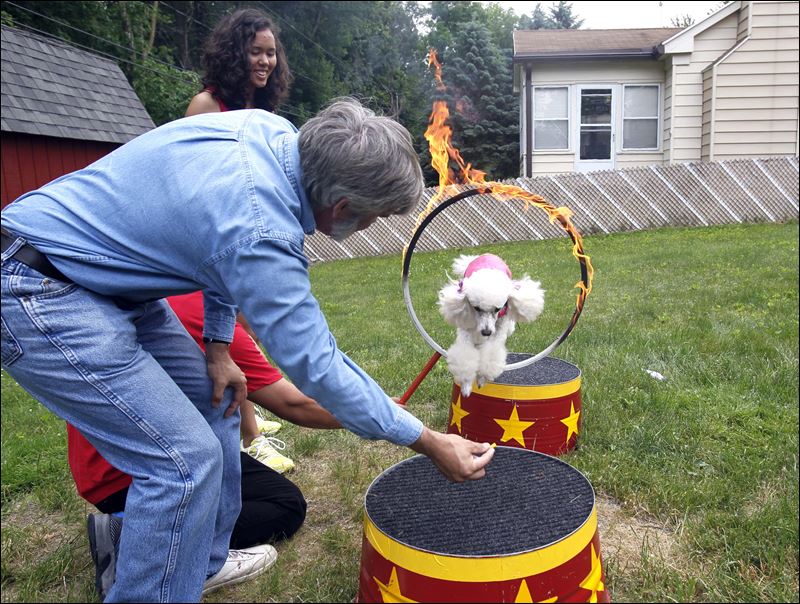 Animation 1 Page 2 jedholmes3d104