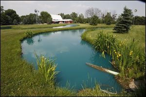 Fin Farm raises fish in 20 ponds, including this one, on its 15 acres in Ridgeville Corners.