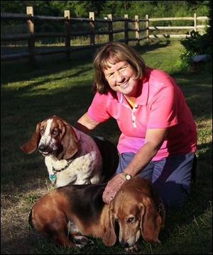 Pat McCarty, with Harley, 4, front, and Davidson, 6, has to head back to Colorado and says she cannot take them because she lives so far away and already has pets at home. The dogs are with a neighbor until the Toledo Area Humane Society has a place for them. Ms. McCarty says she hopes the two can stay together.