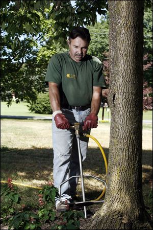 Tim De Luca of L.E. Savory Tree & Lawn Service demonstrates using a soil injection, fertilizer, and root stimulator system.