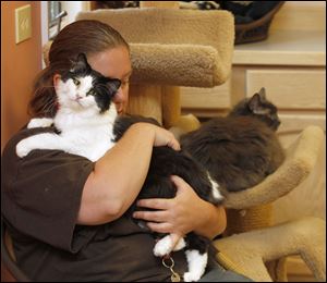 Maumee Valley Save-A-Pet worker Jaime Snyder cuddles a shelter cat. The organization was founded on the belief that every companion animal deserves a loving, responsible, and permanent home.