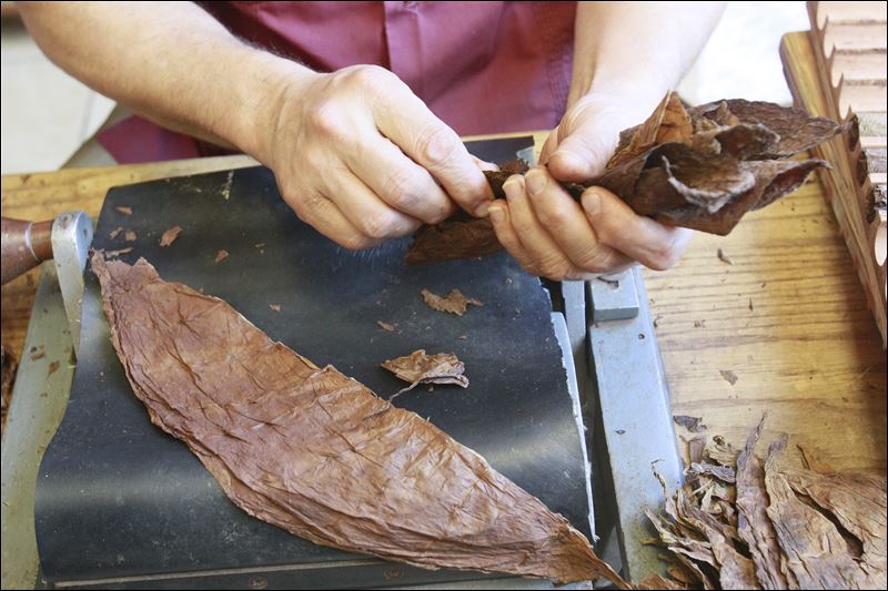 Art of the cigar Nationally known master roller works in small West