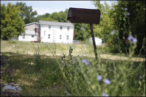 Tall weeds fill a lot in the 1800 block of Harrison Street. A next-door neighbor could own it if the parcel qualifies for Mow to Own.