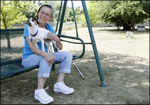 Jane Huth pets Dotty at You Lucky Dog in Oregon. She founded the organization that has stepped up to help and says she would like to see more local rescues taking in dogs from the Lucas County  pound.