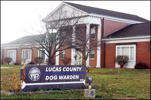 The Lucas County Dog Pound was one of the customers to lose power Thursday, but it implemented power generators to help cool the dogs.