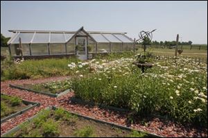 The kitchen garden and greenhouse.