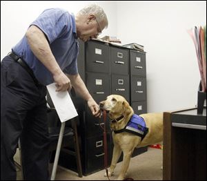 Cedar, Gary Phipps' assistance dog, gives hims his leash while his owner works in his office at Scottdel Inc.