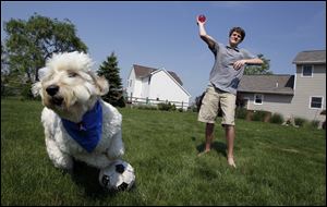 Matthew Perretti, 14, plays with his dog Tango at his home.