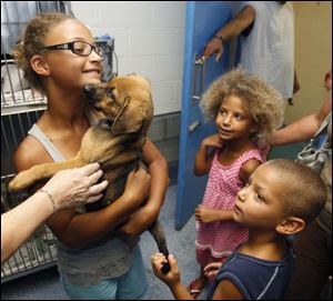 Leiana Butler, 9, holds Juniper, her new puppy, at the Lucas County pound as her sister Kayiona, 6, and her brother Kalon, 5, await their turn.