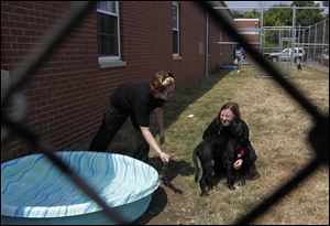 Worker Melissa Beach, left, and Laura Simmons help Milo cool off in the new exercise yard at the dog pound.