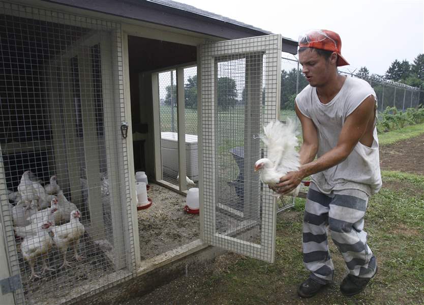 Garden, chicken coop help jail save money The Blade