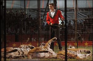 Tigers obey the commands of their trainer, rolling around and impressing audience members during
their performance at the Kelly Miller Circus in Sylvania Township..