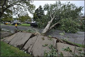 A tree uprooted by Irene in Long Beach, N.Y., was one of many in the region. But overall, damage was mild compared to predictions of widespread severe devastation.