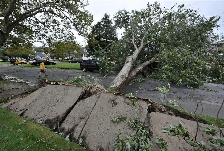 Tree-uprooted-by-Irene-in-Long-Beach-New-York