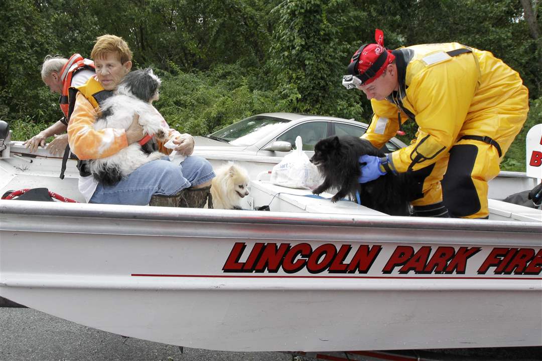 Irene-Shirley-Larkin-dogs